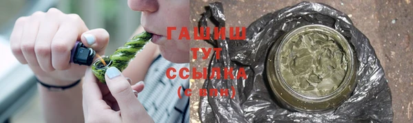 прущие грибы Магас