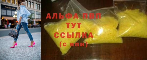 прущие грибы Магас