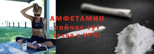прущие грибы Магас
