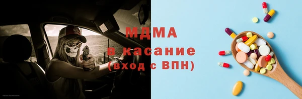 прущие грибы Магас