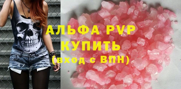 прущие грибы Магас