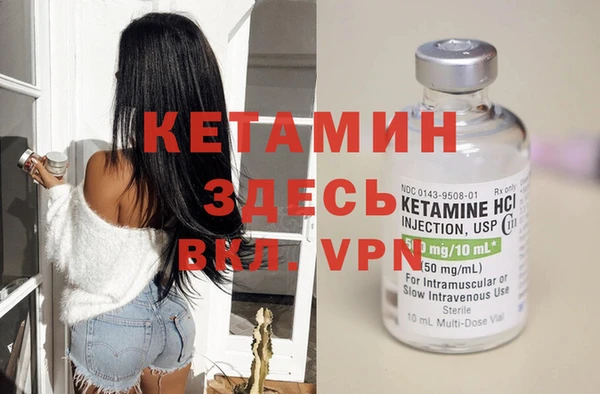 прущие грибы Магас