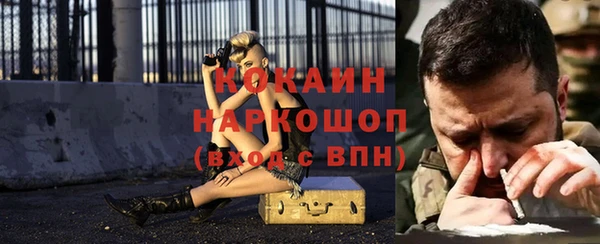 прущие грибы Магас