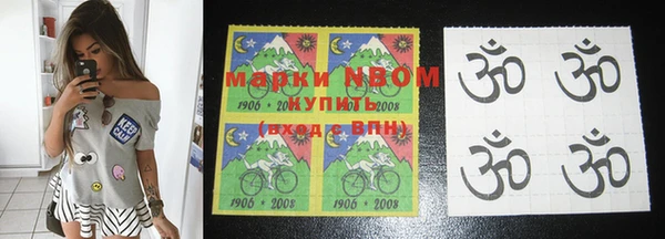 прущие грибы Магас