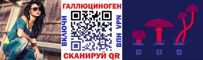 что такое   Наволоки  кракен вход  Псилоцибиновые грибы Psilocybine cubensis 